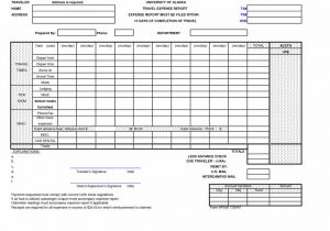 Home Expense Report Spreadsheet and Employee Expense Report Template