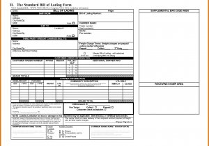 House Bill Of Lading Template And Ocean Bill Of Lading Template