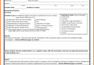 Information Technology Incident Report Form Template And IT Incident Report Sample