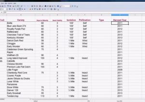 Inventory Control Spreadsheet Excel Software and Store Inventory Software Excel
