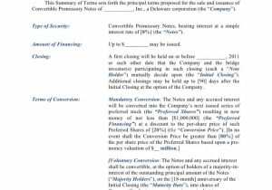 Licensing Term Sheet Template And Investment Fund Term Sheet