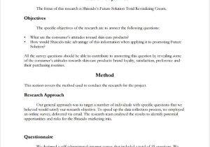 Marketing Audit Report Examples And Marketing Research Report Methodology Example
