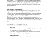 Marketing Strategy Statement Parts And Marketing Plan Mission Statement Example