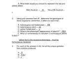 Monohybrid Problems Worksheet Answers And Blood Type And Inheritance Worksheet