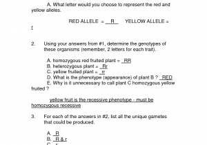 Monohybrid Problems Worksheet Answers And Blood Type And Inheritance Worksheet
