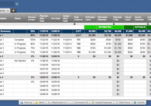Multiple Project Tracking Template Excel And Program Dashboard Template Excel
