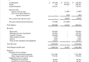 Non For Profit Financial Statement Template And Sample Statement Of Activities Nonprofit