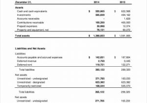Non Profit Income Statement Excel And Startup Financial Statement Template