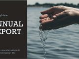 Nonprofit Annual Report Examples And Non Profit Organization Annual Report Format