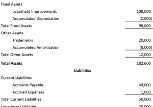 Nonprofit Financial Statement Template And Business Plan Balance Sheet Template