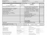 Personal Financial Statement Form Fillable And Personal Financial Statement Example Aicpa