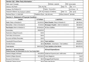 Personal Financial Statement Form Printable And Personal Financial Statement Form Ps 15