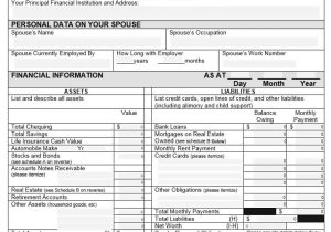 Personal Financial Statement Template Canada And Personal Financial Statement Forms Free Download