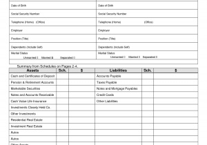Personal Financial Statement Template Word And Personal Monthly Financial Report Template