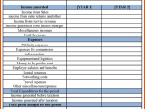 Personal Financial Statements Templates Free And Personal Financial Statement Blank Forms