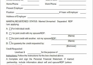 Personal Net Worth Statement Form And Financial Statement For Bank Loan
