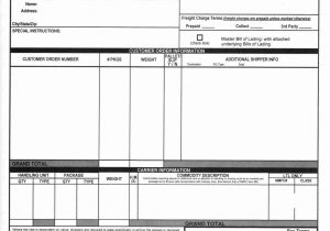 Printable Bill Of Lading Pdf And Bill Of Lading Format In Word