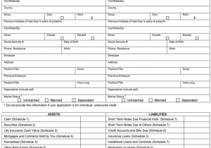 Printable Personal Financial Statement Template And Personal Financial Statement Template Pdf