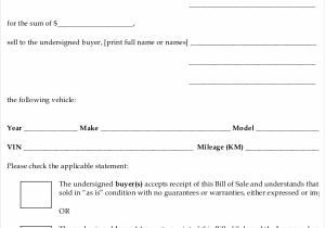 Private Car Bill Of Sale Template And Bill Of Sale Example