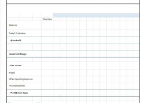 Profit And Loss Statement Template Simple And Profit And Loss Statement Template Excel