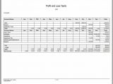 Profit And Loss Template Google Docs And Trading And Profit And Loss Account