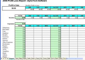 Profit And Loss Template Xls And Profit And Loss Statement Template Word