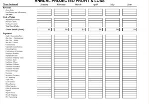 Profit and Loss Templates Free with Profit and Loss Excel Formula