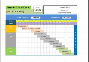 Project Management Dashboard Excel And Project Management Schedule Template