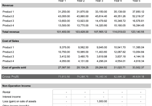 Projected Profit And Loss Statement Example And Financial Plan For Startup Business