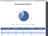 Sales And Marketing Monthly Report Example And Monthly Marketing Report Pdf