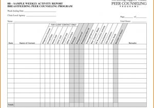 Sales Visit Report Template Doc And Sales Trip Report Template Word