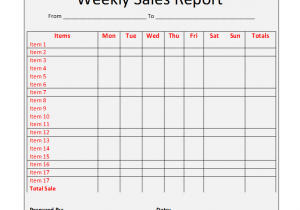 Sales Visit Report Template Free Download And Excel Sales Report Template Free Download