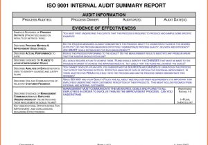 Sample Audit Report For Non Profit Organization And Sample Audit Report Cooperative Society