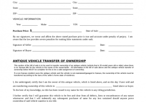 Sample Automotive Bill Of Sale And Sample Vehicle Bill Of Sale Texas