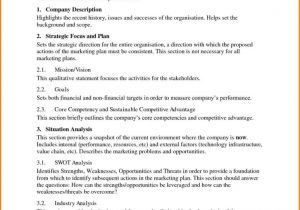 Sample Business Impact Analysis Report And Example Of Business Case Study Report