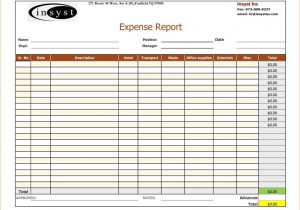 Sample Expense Report Forms Excel And Expense Report Template Word