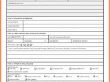 Sample Of An Accident Report Writing And Nursing Incident Report Sample
