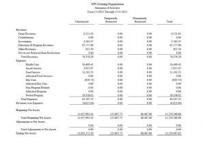 Sample Of Financial Statement For Non Profit Organization And Format Of Financial Statement For Non Profit Organization