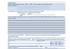 Sample Of Security Incident Report Form And Cyber Security Incident Report Template