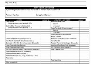 Sample Personal Financial Statement Compilation Report And Sample Personal Financial Statement Form