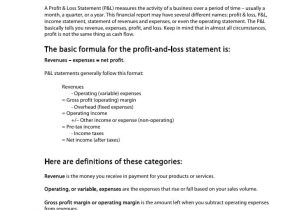 Sample Profit And Loss Statement For Non Profit Organization And Example Profit And Loss Statement For 1099 Employee