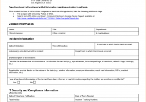Security Officer Incident Report Example And Security Guard Daily Activity Report Sample