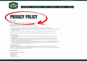 Simple Privacy Policy Example And Sample Email Privacy Statement