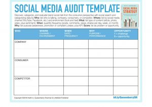 Social Media Report Template Excel And Summer Internship Report On Social Media Marketing