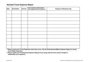 Travelling Expenses Format In Excel And Free Travel Expense Report Template