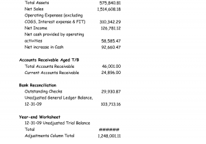 Trial Balance Format And Accounting Worksheet Template