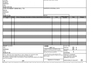 VICS Bill Of Lading Form Free Download And Bill Of Lading Template Excel
