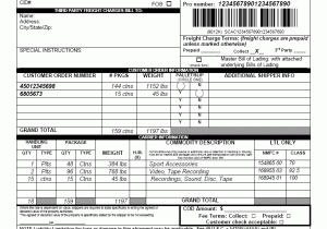 VICS Bill Of Lading Template And Third Party Bill Of Lading Sample