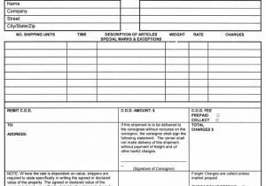 Vehicle Bill Of Lading Template And Free Auto Transport Bill Of Lading Pdf