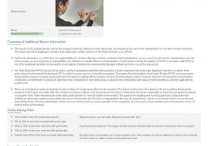 Website Usability Analysis Report Sample And Example Of A Good Website Review